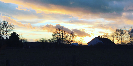 Pelling - our office