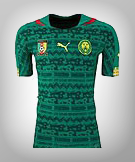 Cameroon World Cup 14 Kit